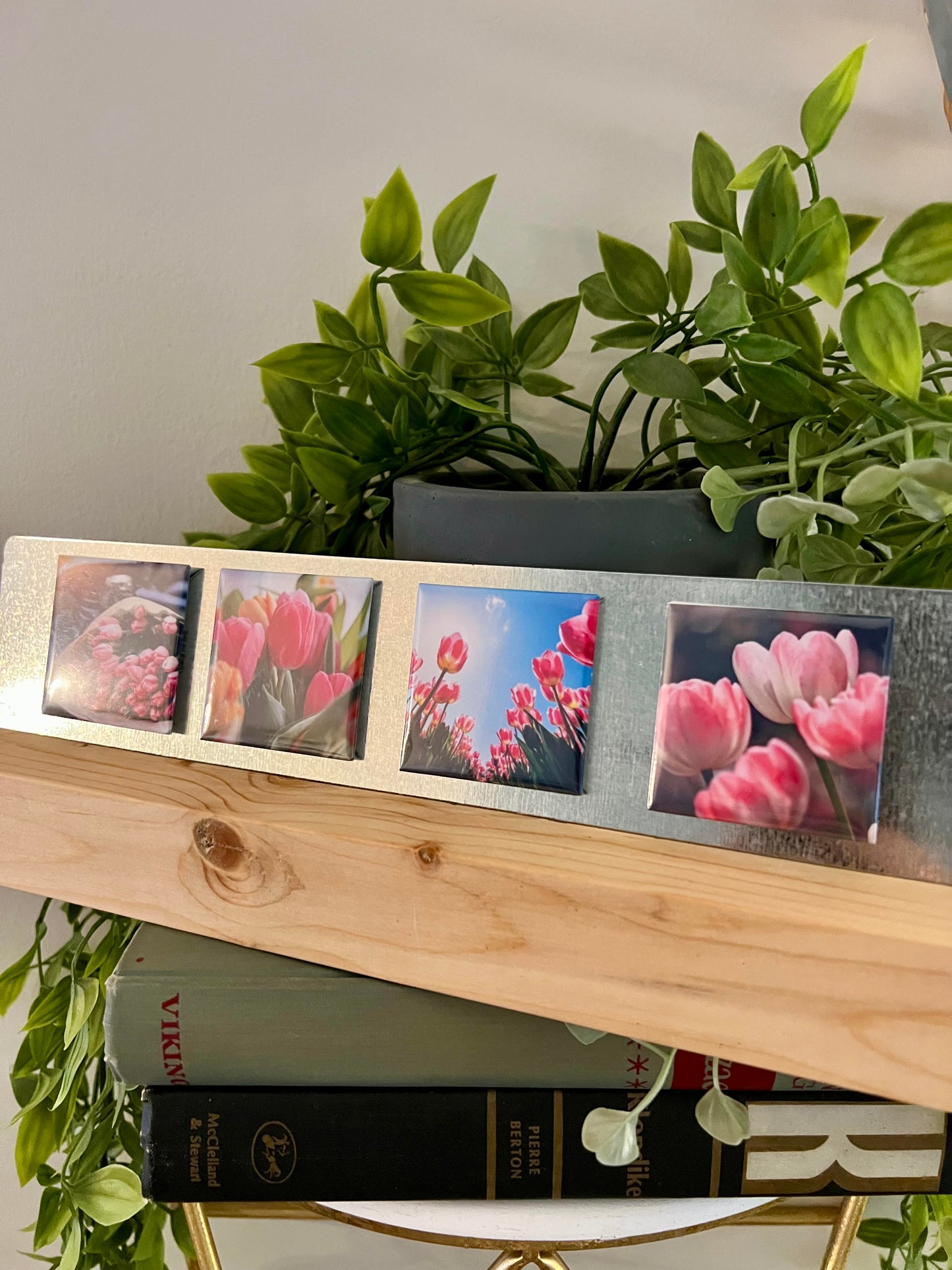 Flower Central - Selections of 4 -Packs