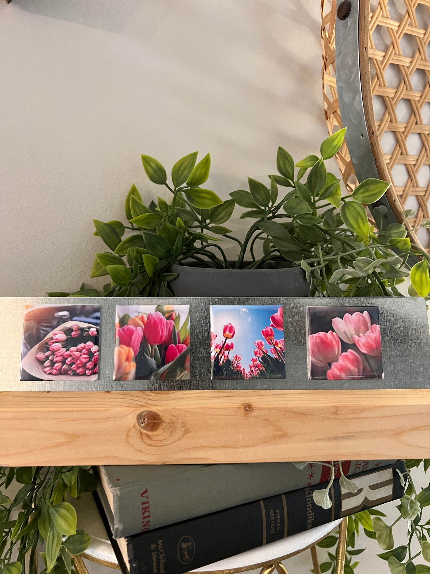 Flower Central - Selections of 4 -Packs