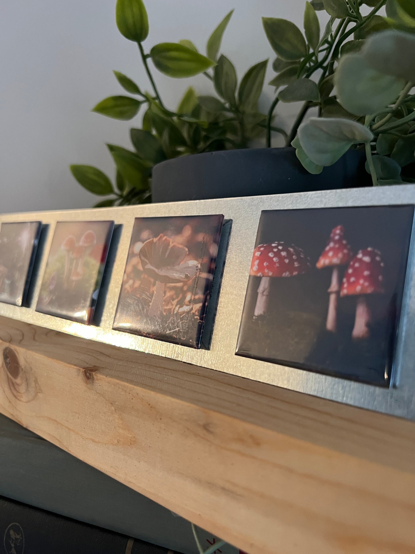 Wooden photo frame stand with photo magnets displaying cute mushrooms, next to a plant.