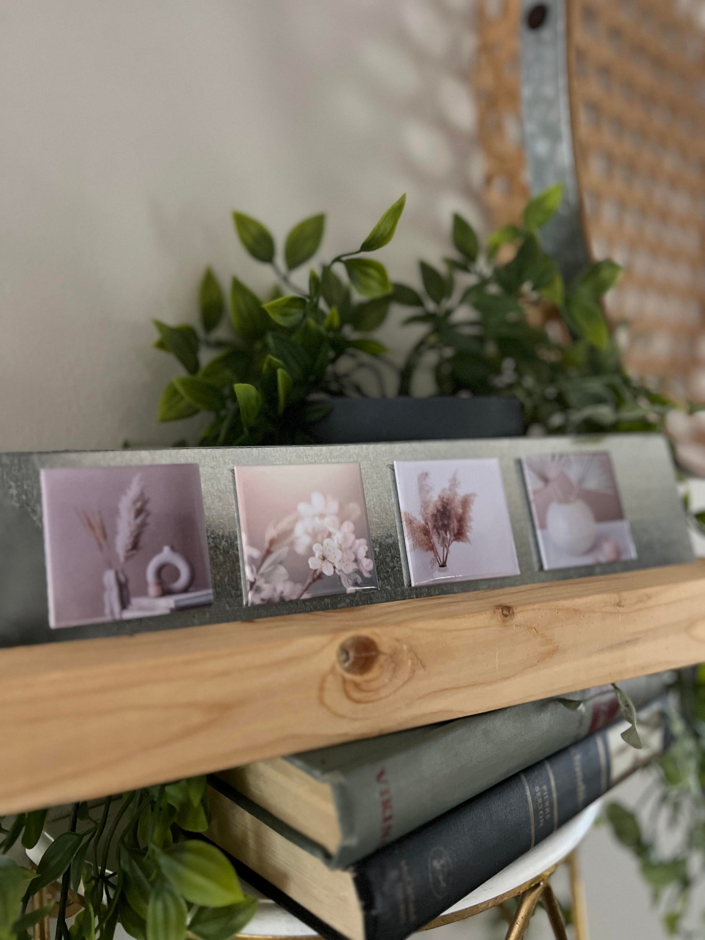 Small photo square magnets on a wooden shelf with plants in the background