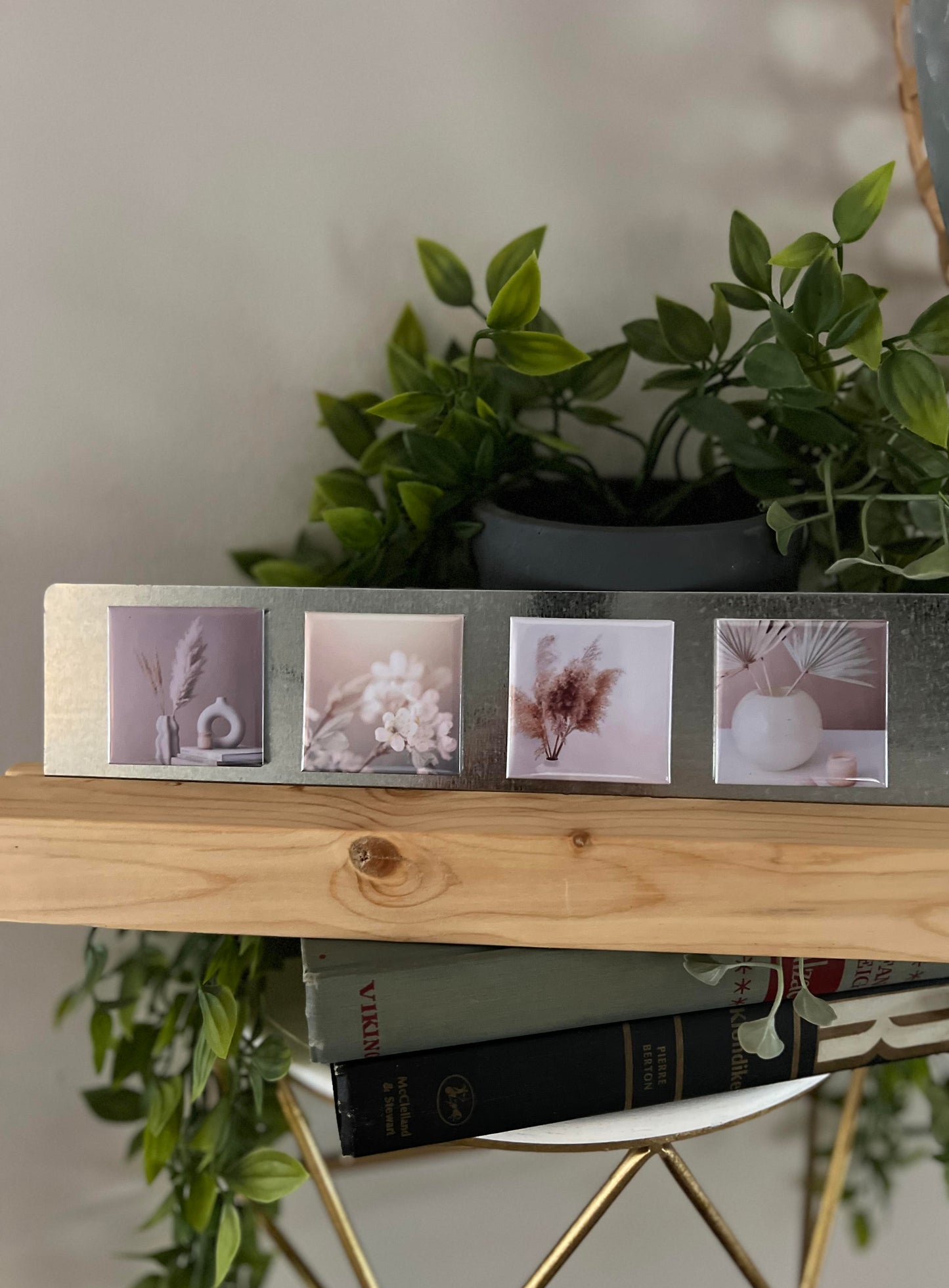 Decorative shelf with framed botanical prints aesthetic whites pampas grass magnets display and a plant in the background