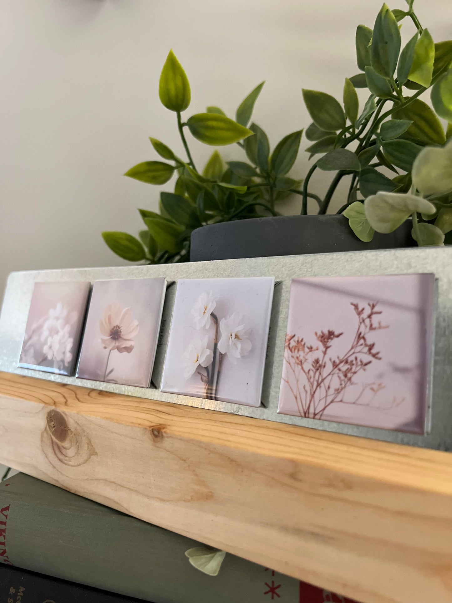 Set of four framed magnetic floral prints on a wooden surface with plants in the background