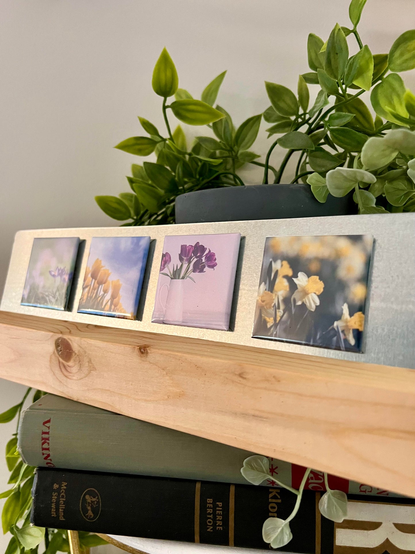 Flower Central - Selections of 4 -Packs