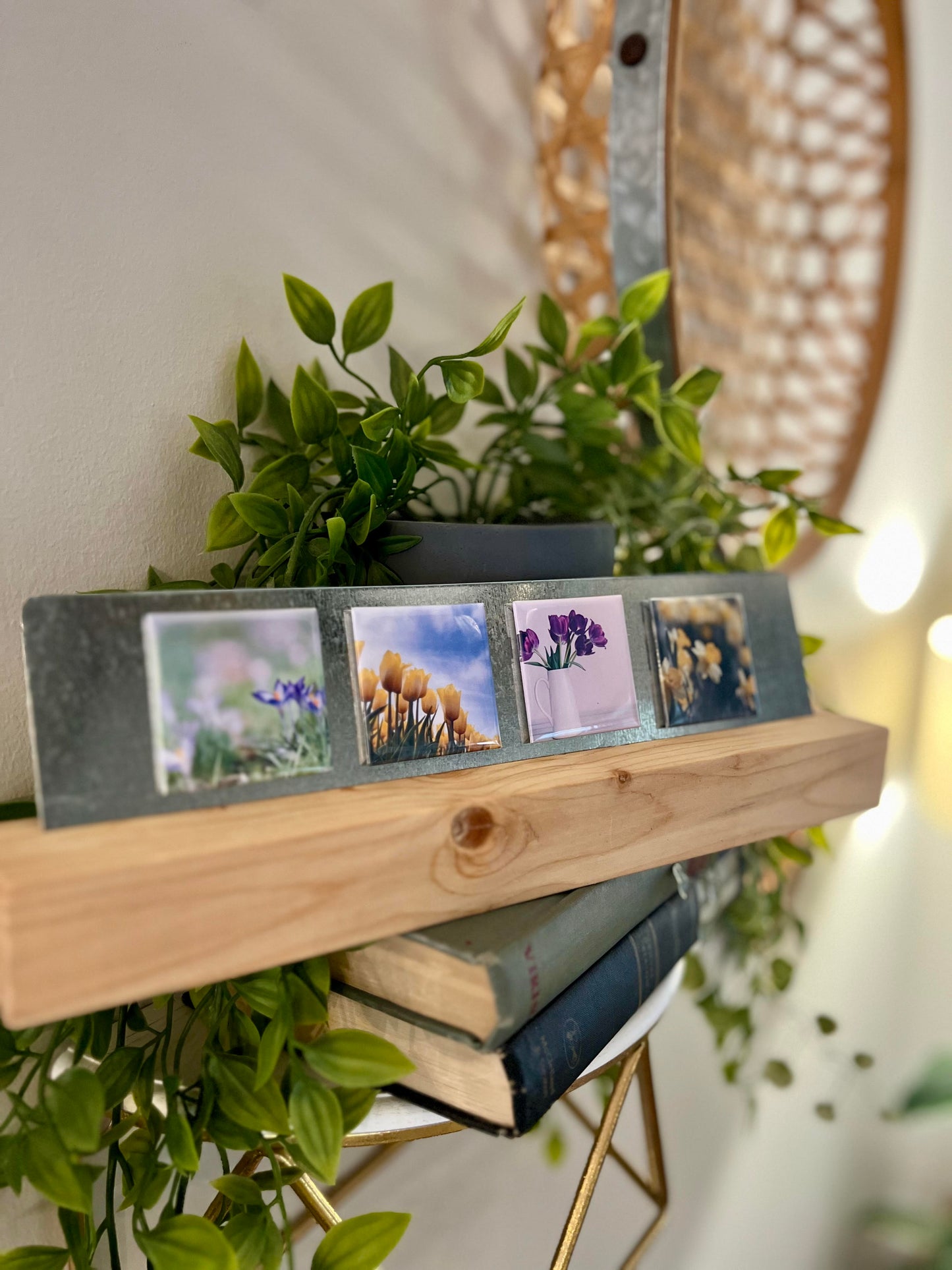 Flower Central - Selections of 4 -Packs