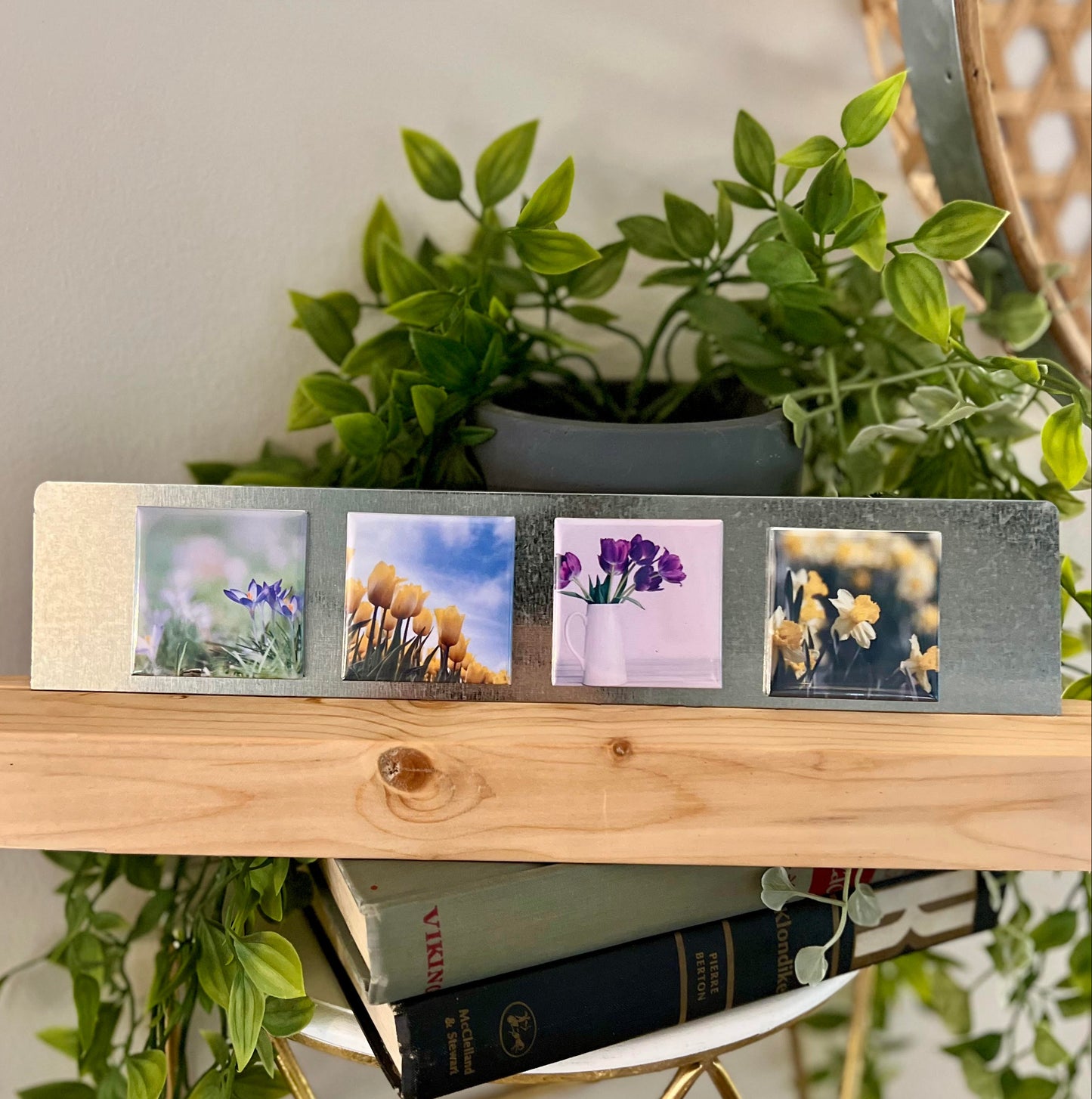 Flower Central - Selections of 4 -Packs