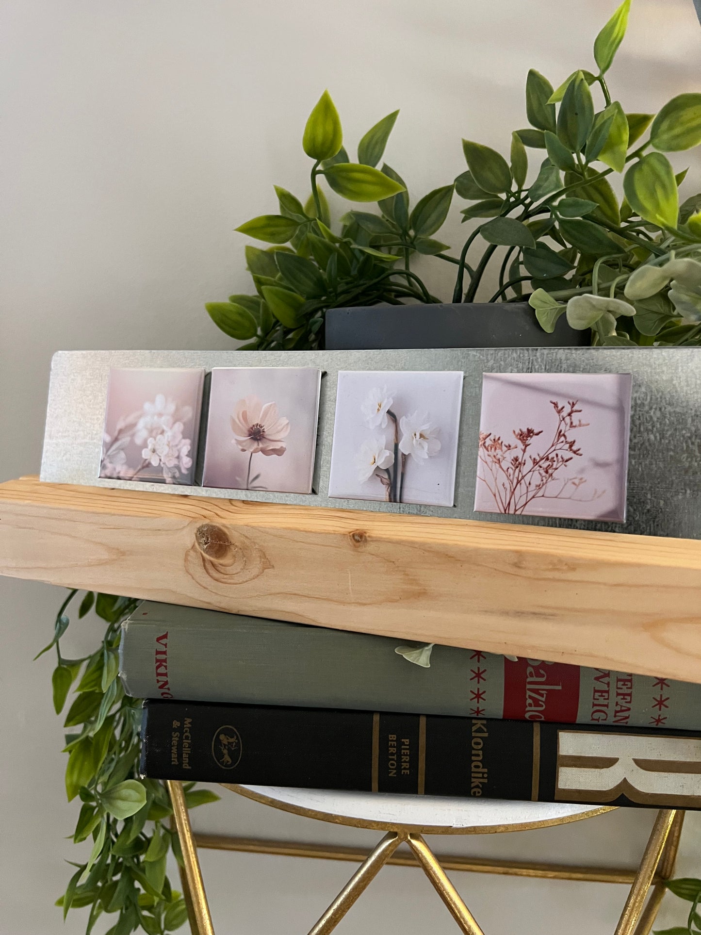 Soft White Blooms 4-Pack