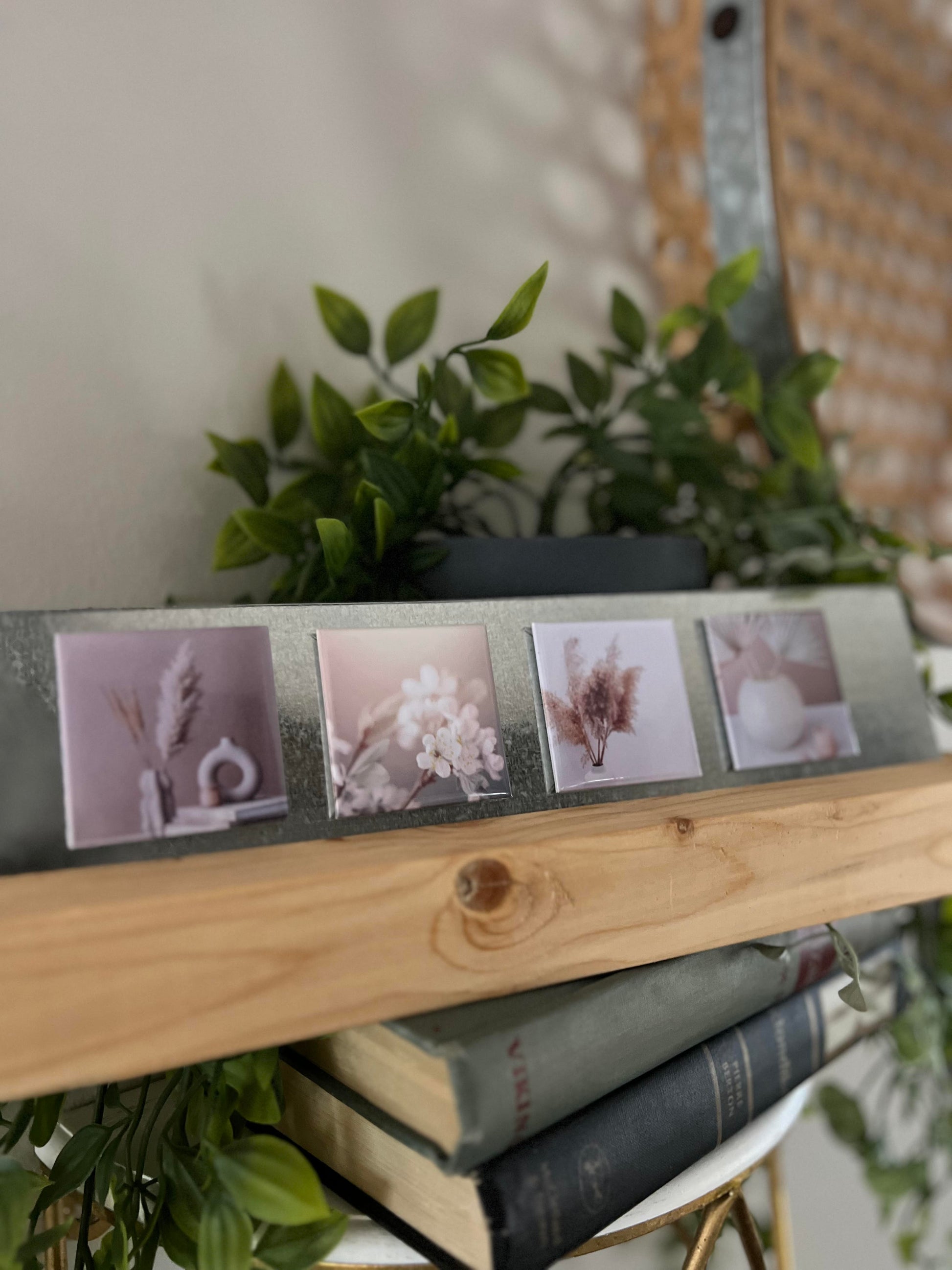 Small photo square magnets on a wooden shelf with plants in the background