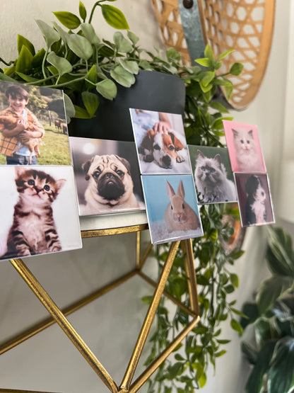 Custom Square Photo Magnets 2"x2"