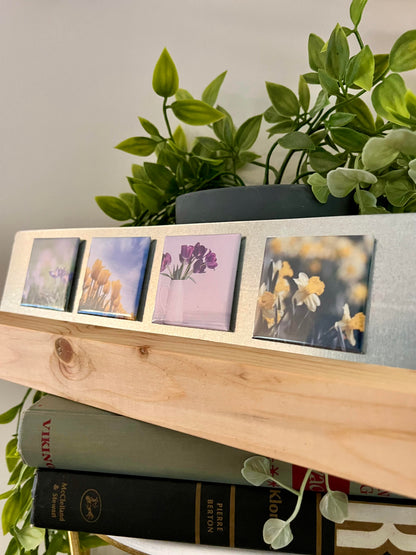 Flower Central - Selections of 4 -Packs